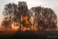 009_Biebrza - maj 2013
